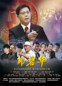 夫人惊人的容颜